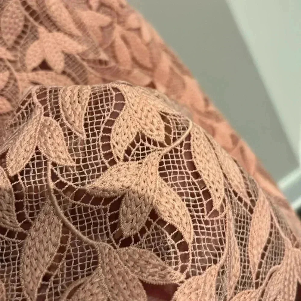 Shoshanna Alize Blush,Lace Overlay,V-Neck,Short Puff Sleeves,A-Line,Empire Waist — image 5 of 8